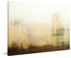 Foggy Scene