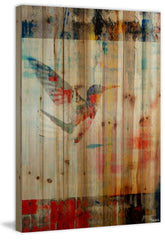 Humming Bird Flies