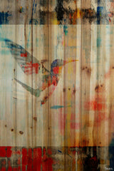 Humming Bird Flies