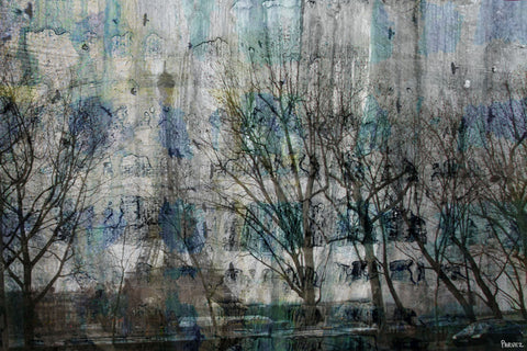 Beyond the Trees
