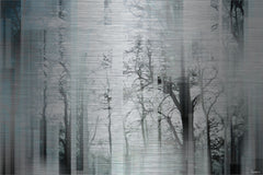 Wild Trees