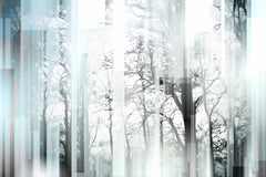 Wild Trees