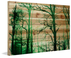 Lost Forest