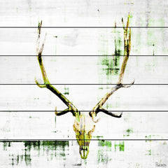 Antler