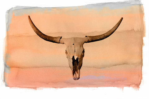 Cowboy 4