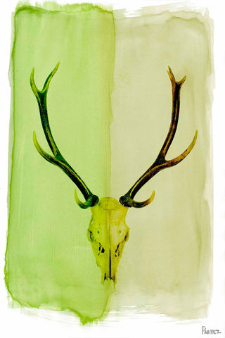 Horn