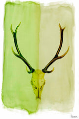 Horn
