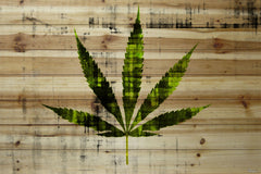 Chronic