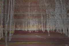 Night Birch