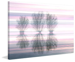 Three Trees