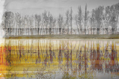 Sunset Lake