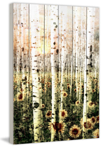 Daisy Forest