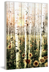 Daisy Forest