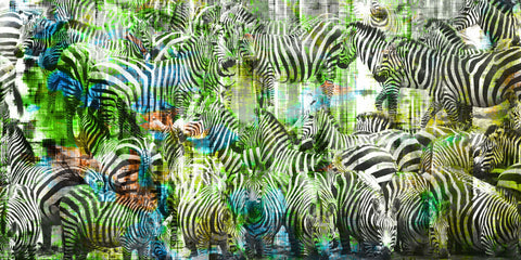 Green Zebras