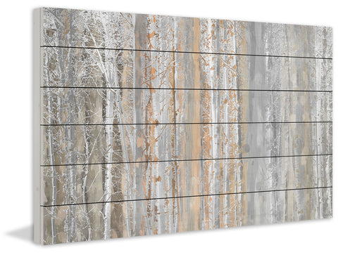 Aspen Forest 1