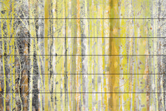 Aspen Forest 2