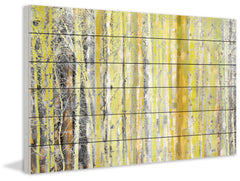 Aspen Forest 2