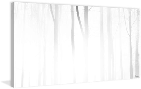 Blinding White