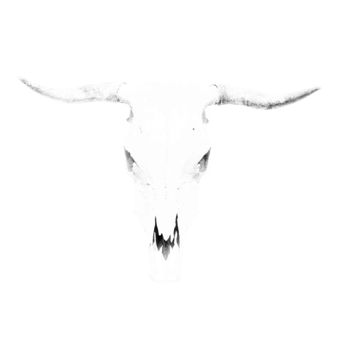 Bleached Horns
