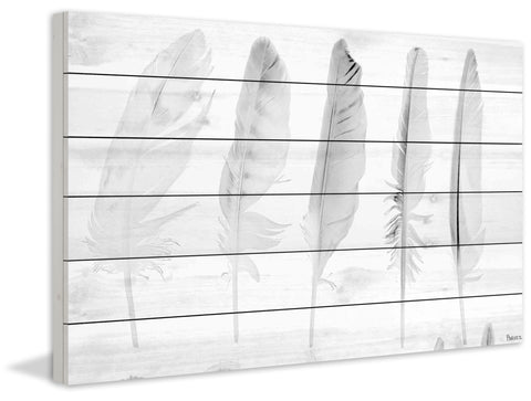 Five White Feathers