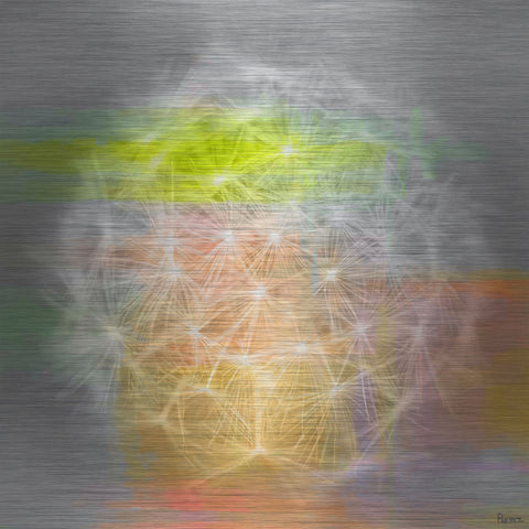 Taraxacum