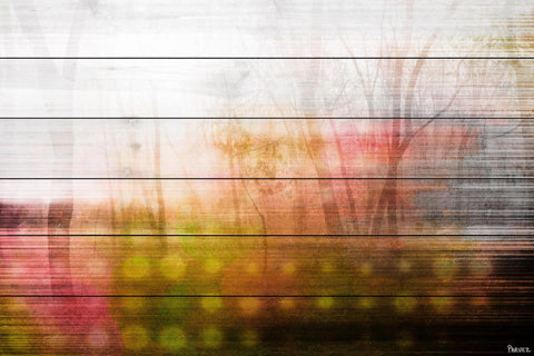 Foggy Days