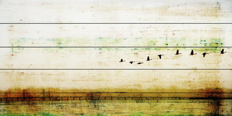Birds Flying