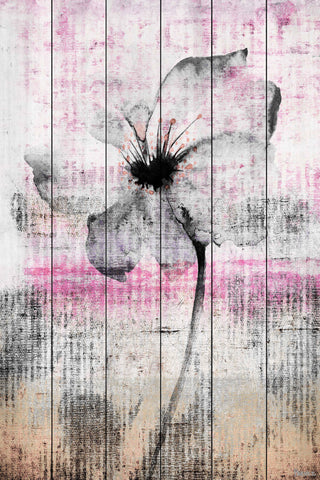 Flower 2