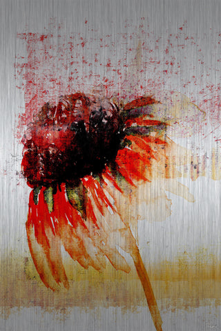 Flower 4