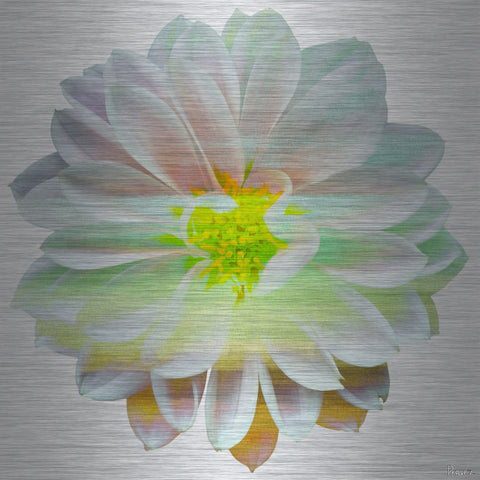 Yellow Center
