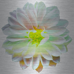 Yellow Center