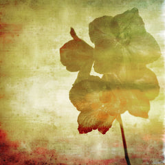 Flower 4 U