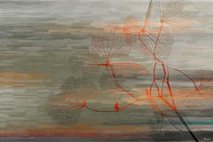 Kelp 2