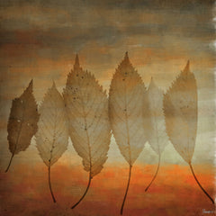 Leafs