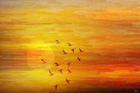 Night Flight 2
