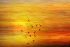 Night Flight 2