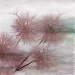 Pink Dandy