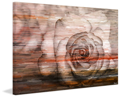 Sleeping Rose