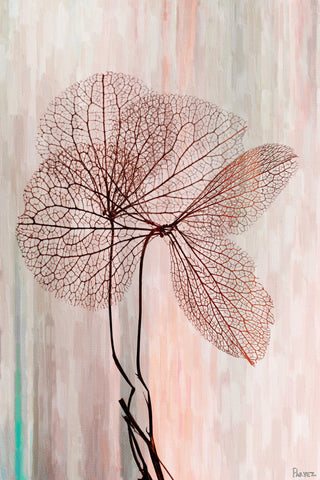 Sea Tree 2