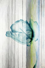 Water Flower