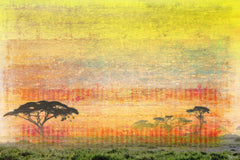 Orange Plains