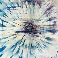 White Burst Bloom