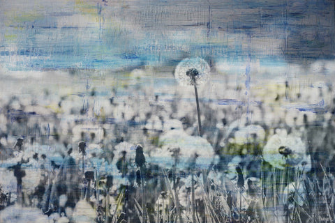 Dandelion Sea