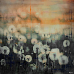 Dandy Puff Meadow