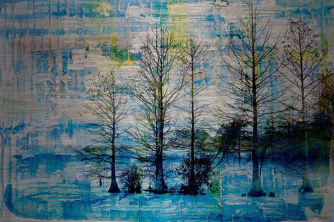 Fir Trees Blue