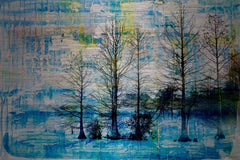 Fir Trees Blue