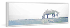 Distant Horse Grazing