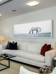 Distant Horse Grazing