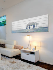 Distant Horse Grazing
