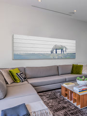 Distant Horse Grazing